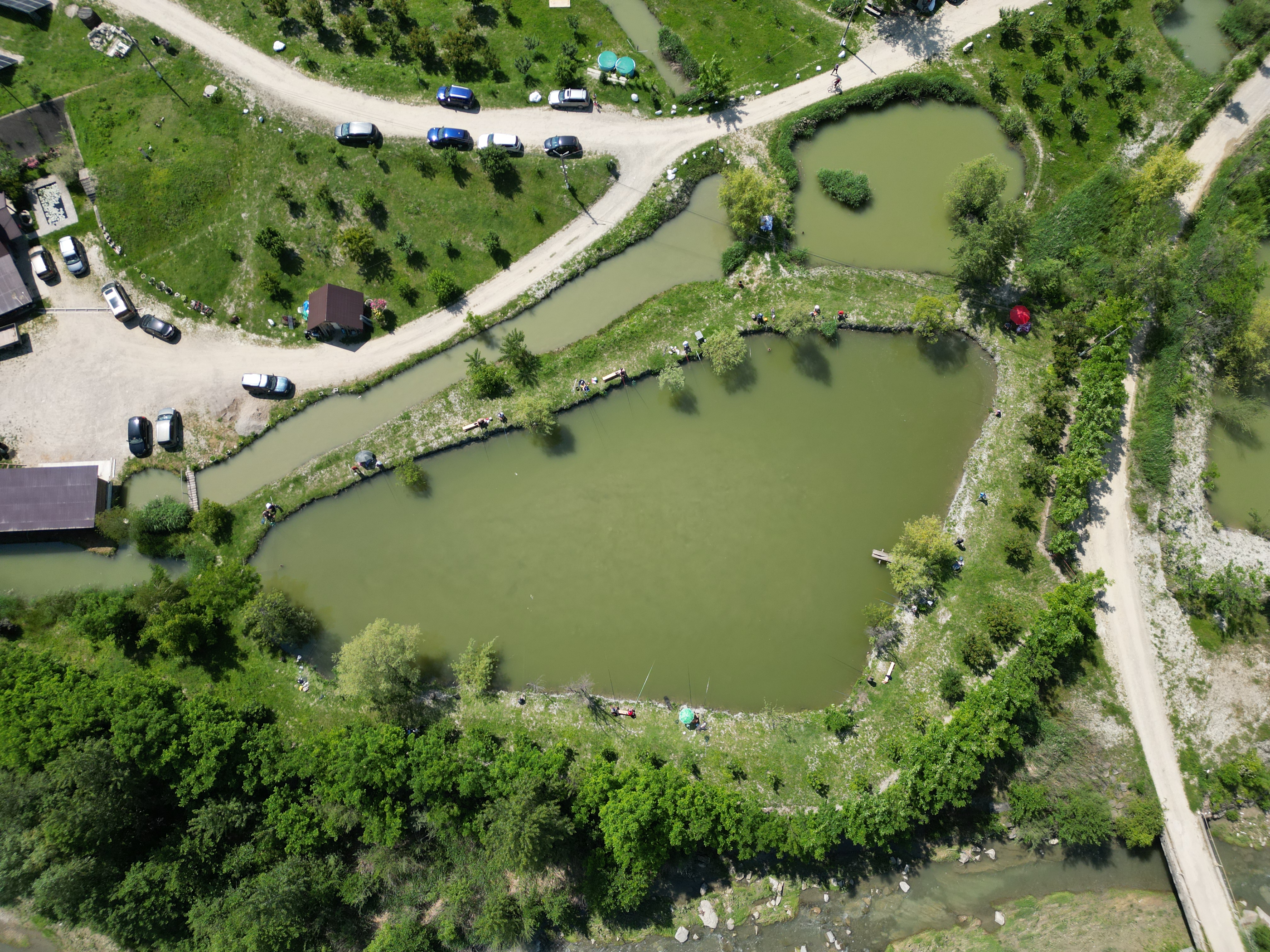 Balta Crescătorie 1