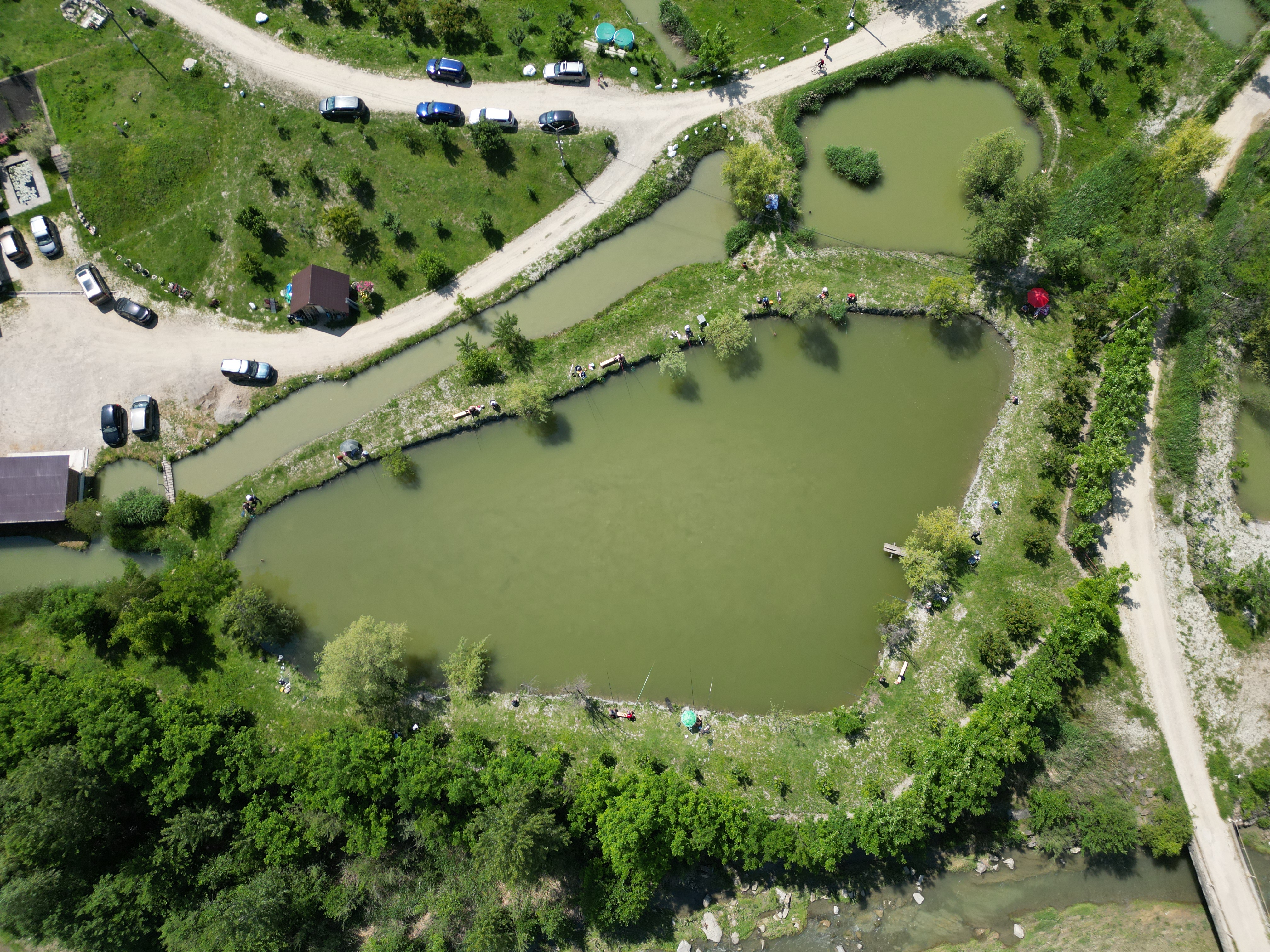 Balta Crescătorie 2